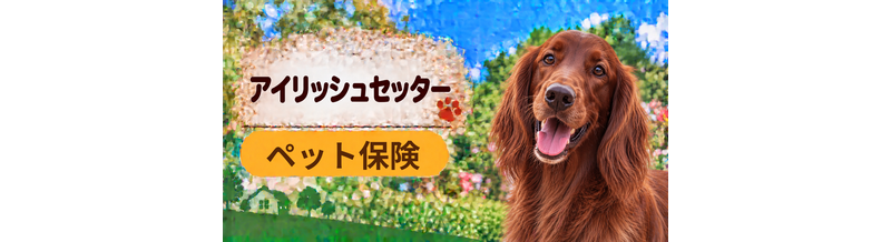 アイリッシュセッターのペット保険料はいくら？加入前に確認したい補償と費用