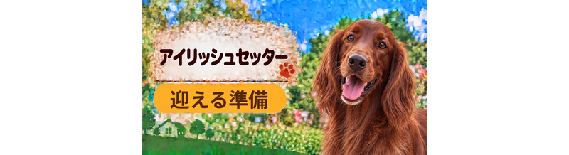 アイリッシュセッターを迎えるときに必要なもの｜サイズ選びと初期費用