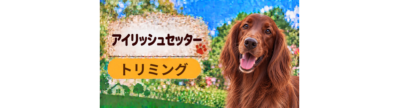 アイリッシュセッターのトリミング代はいくら？頻度と年間費用を計算