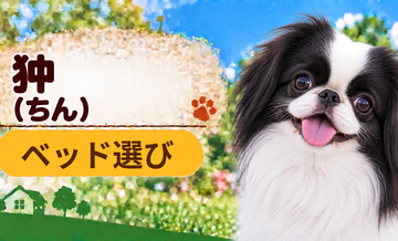 狆のベッド選び｜体格・季節・洗いやすさで比較