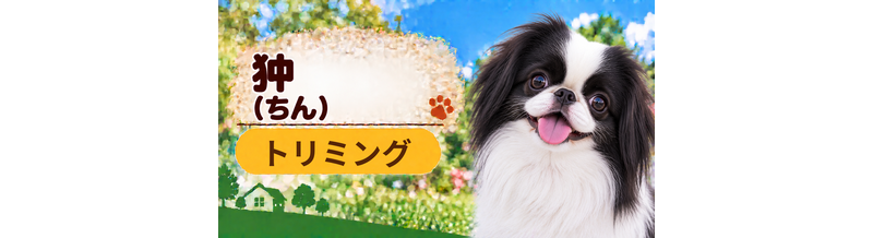 狆のトリミング代はいくら？頻度と年間費用を計算