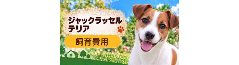 ジャックラッセルテリアを飼う費用はいくら？初期費用・年間費用・生涯費用を解説