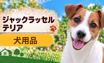 ジャックラッセルテリア向け犬用品の選び方｜ケージ・ベッド・ハーネスをまとめて確認