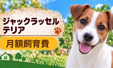 ジャックラッセルテリアの飼育費は月いくら？食費・日用品・保険料を家計シミュレーション
