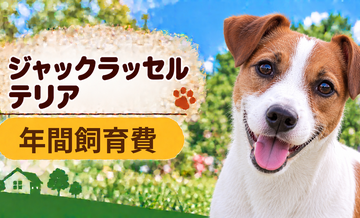 ジャックラッセルテリアの年間飼育費はいくら？固定費と臨時出費をまとめて計算