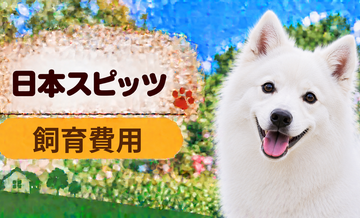 日本スピッツを飼う費用はいくら？初期費用・年間費用・生涯費用を解説