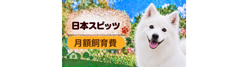 日本スピッツの飼育費は月いくら？食費・日用品・保険料を家計シミュレーション