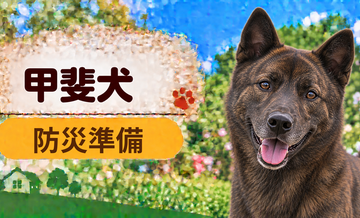 甲斐犬の防災準備｜避難時に必要な用品と持ち出しリスト