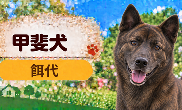 甲斐犬の餌代は月いくら？体重からドッグフード代をシミュレーション