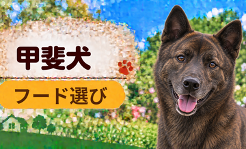 甲斐犬のドッグフードはどう選ぶ？年齢・体格・食べ方に合わせた選び方