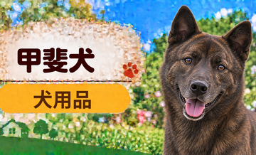 甲斐犬向け犬用品の選び方｜ケージ・ベッド・ハーネスをまとめて確認