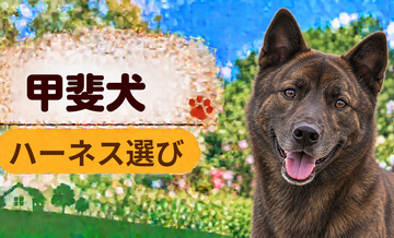 甲斐犬のハーネス選び｜サイズ測定とフィット感のチェック