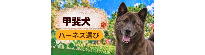 甲斐犬のハーネス選び｜サイズ測定とフィット感のチェック