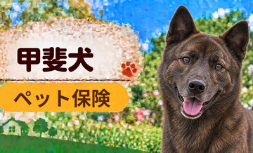 甲斐犬のペット保険料はいくら？加入前に確認したい補償と費用