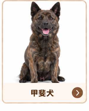 甲斐犬
