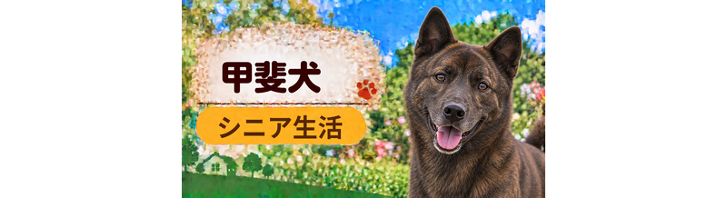 シニア期の甲斐犬との暮らし｜食事・運動・介護費用を考える