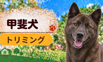 甲斐犬のトリミング代はいくら？頻度と年間費用を計算