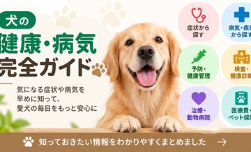 犬の健康・病気完全ガイド｜症状・予防・検査・医療費をまとめて確認