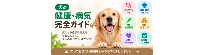 犬の健康・病気完全ガイド｜症状・予防・検査・医療費をまとめて確認