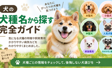 犬種から探す｜犬種別の飼い方・費用ガイド