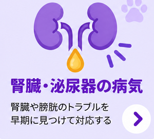 腎臓・泌尿器の病気