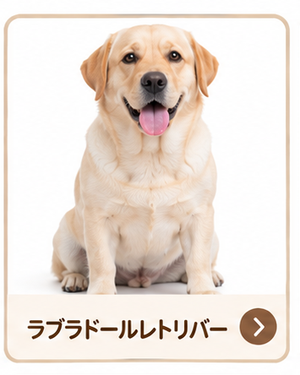 ラブラドールレトリバー