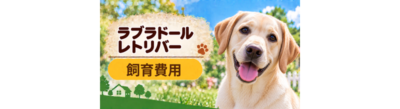 ラブラドールレトリバーを飼う費用はいくら？初期費用・年間費用・生涯費用を解説