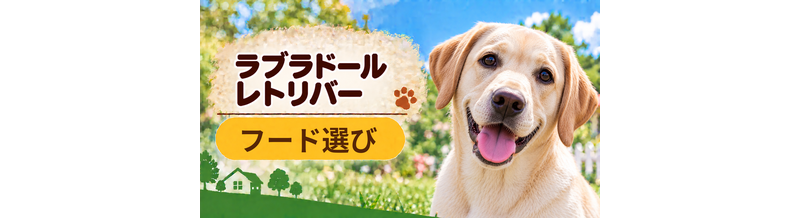 ラブラドールレトリバーのドッグフードはどう選ぶ？年齢・体格・食べ方に合わせた選び方