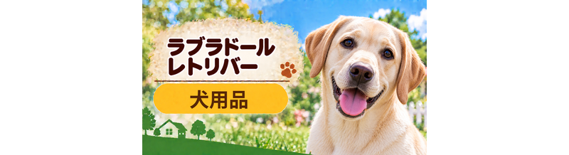 ラブラドールレトリバー向け犬用品の選び方｜ケージ・ベッド・ハーネスをまとめて確認