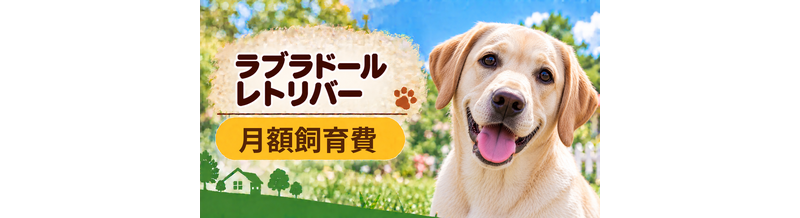 ラブラドールレトリバーの飼育費は月いくら？食費・日用品・保険料を家計シミュレーション