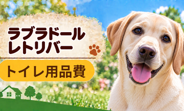 ラブラドールレトリバーのトイレ用品にかかる費用｜シーツ代と掃除用品を計算