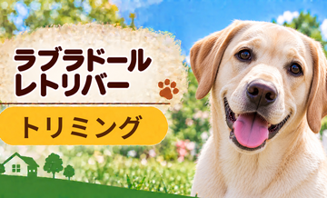 ラブラドールレトリバーのトリミング代はいくら？頻度と年間費用を計算
