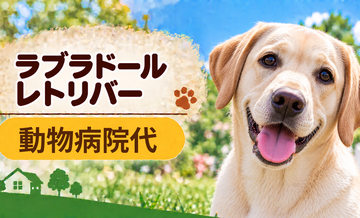 ラブラドールレトリバーの動物病院代は年間いくら？健康診断・予防・急な通院に備える