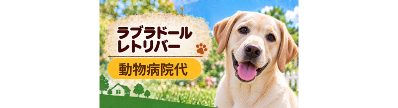 ラブラドールレトリバーの動物病院代は年間いくら？健康診断・予防・急な通院に備える