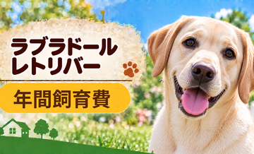 ラブラドールレトリバーの年間飼育費はいくら？固定費と臨時出費をまとめて計算