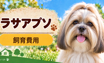 ラサアプソを飼う費用はいくら？初期費用・年間費用・生涯費用を解説