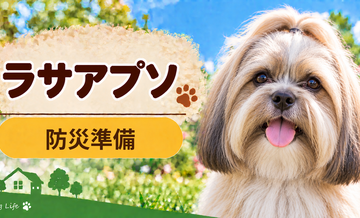 ラサアプソの防災準備｜避難時に必要な用品と持ち出しリスト