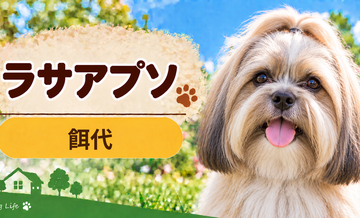 ラサアプソの餌代は月いくら？体重からドッグフード代をシミュレーション