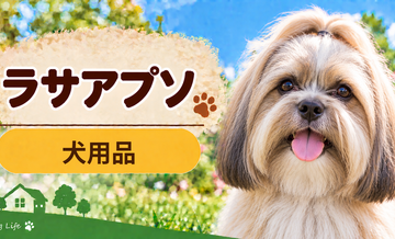 ラサアプソ向け犬用品の選び方｜ケージ・ベッド・ハーネスをまとめて確認