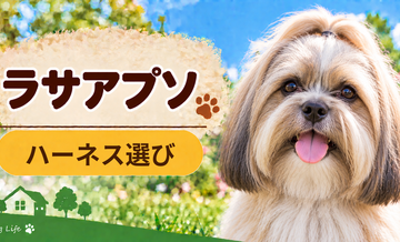ラサアプソのハーネス選び｜サイズ測定とフィット感のチェック