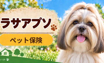 ラサアプソのペット保険料はいくら？加入前に確認したい補償と費用
