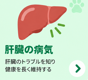 肝臓の病気