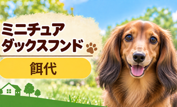 ミニチュアダックスフンドの餌代は月いくら？体重からドッグフード代をシミュレーション