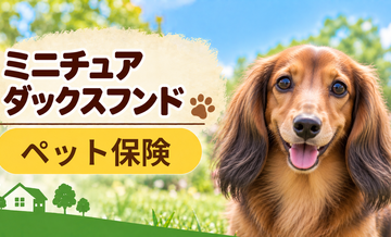 ミニチュアダックスフンドのペット保険料はいくら？加入前に確認したい補償と費用
