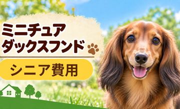 シニア期のミニチュアダックスフンドにかかる費用｜食事・医療・介護の準備