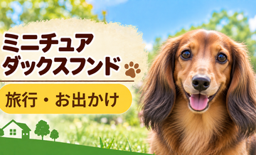 ミニチュアダックスフンドと旅行するときの持ち物｜移動・宿泊で役立つ犬用品