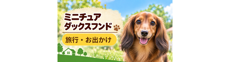 ミニチュアダックスフンドと旅行するときの持ち物｜移動・宿泊で役立つ犬用品