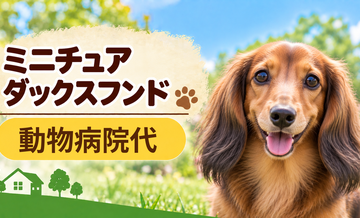 ミニチュアダックスフンドの動物病院代は年間いくら？健康診断・予防・急な通院に備える