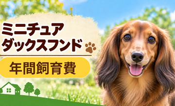 ミニチュアダックスフンドの年間飼育費はいくら？固定費と臨時出費をまとめて計算