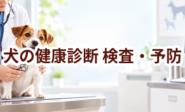 犬の健康診断はいつ受ける？受診前に知っておきたいこと